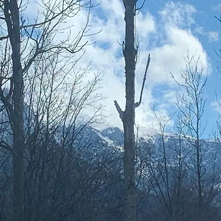 Puchatek Centrum - Przytulnie Apartman *